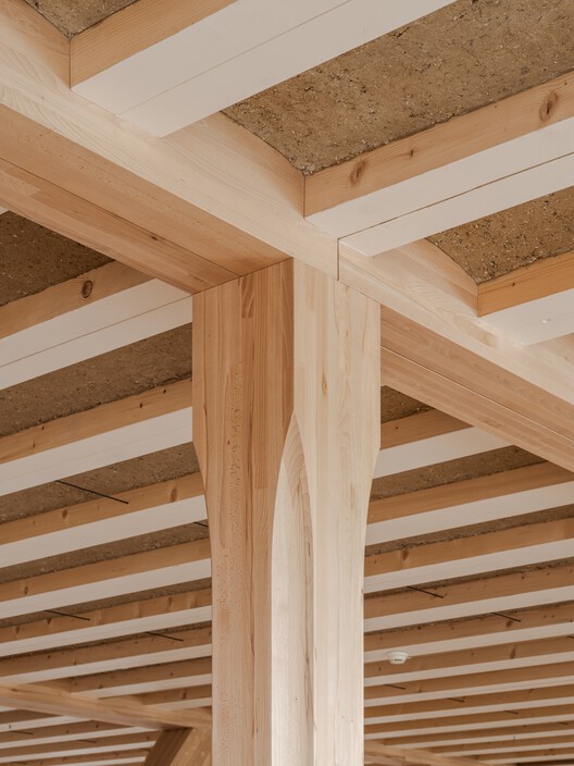 Hortus Allschwil / Herzog & de Meuron - Interior Photography, Wood, Beam, Column