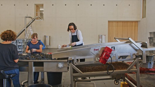 Bodega Bélair-Monange / Herzog & de Meuron - Fotografía interior, Cocina