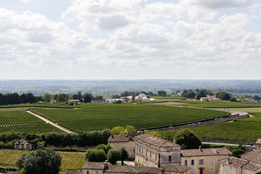 Bodega Bélair-Monange / Herzog & de Meuron - Imagen 6 de 24