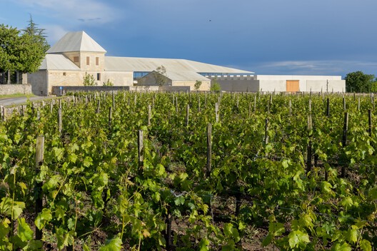 Bodega Bélair-Monange / Herzog & de Meuron - Imagen 7 de 24