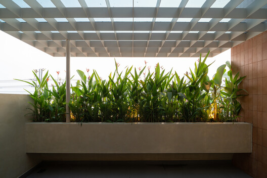 Casa de la Tía Cuatro / AHA Architects - Fotografía exterior, Jardín