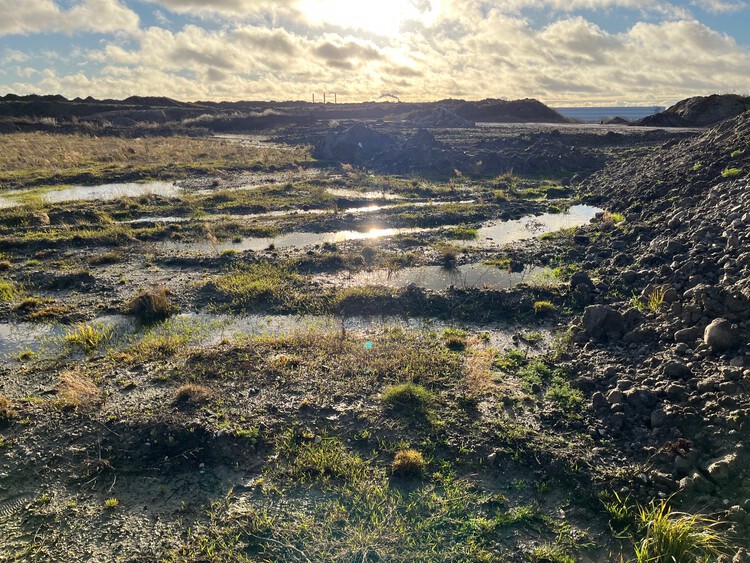 Team SLA to Design New 30-hectare Coastal Nature Park in Copenhagen, Denmark - Image 4 of 8