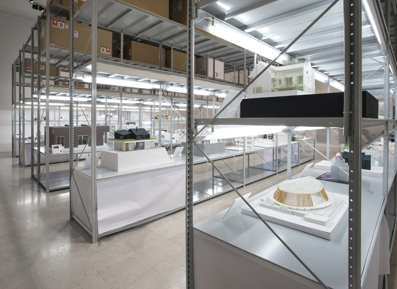 Museum Backstage Gallery of Behind the Scenes, On Display: Self-Curated Journeys through ...