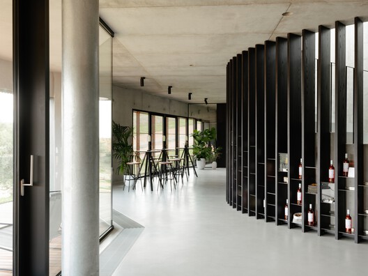 Winery Tenute Maestrale / Spaziozero + X Architekten Winery Tenute Maestrale / Spaziozero + X Architekten - Image 13 of 25