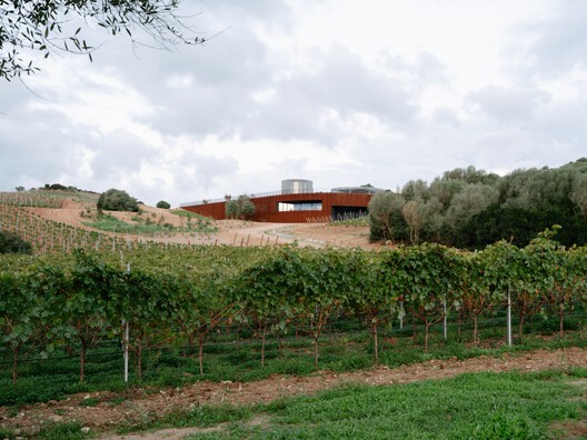 Winery Tenute Maestrale / Spaziozero + X Architekten Winery Tenute Maestrale / Spaziozero + X Architekten - Image 2 of 25