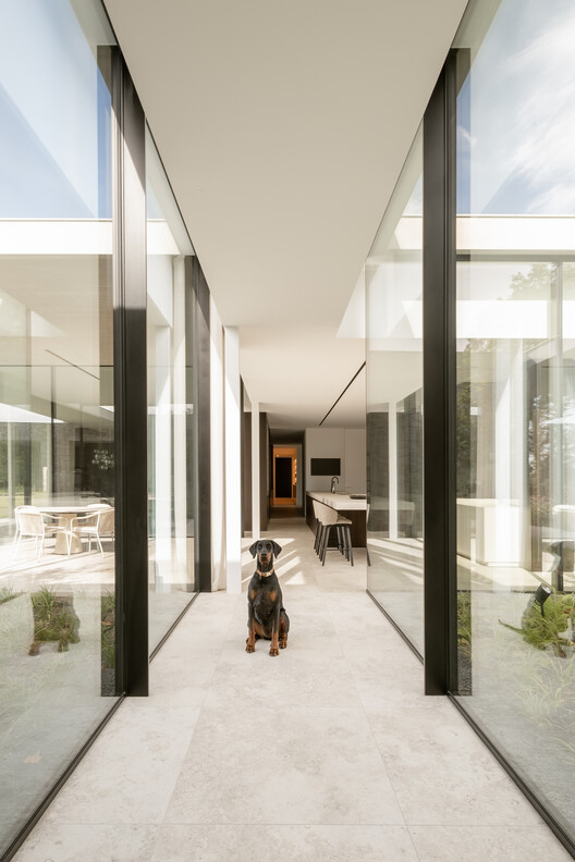 Concrete Villa / Cocoon Architecten Concrete Villa / Cocoon Architecten - Interior Photography, Door, Concrete, Courtyard