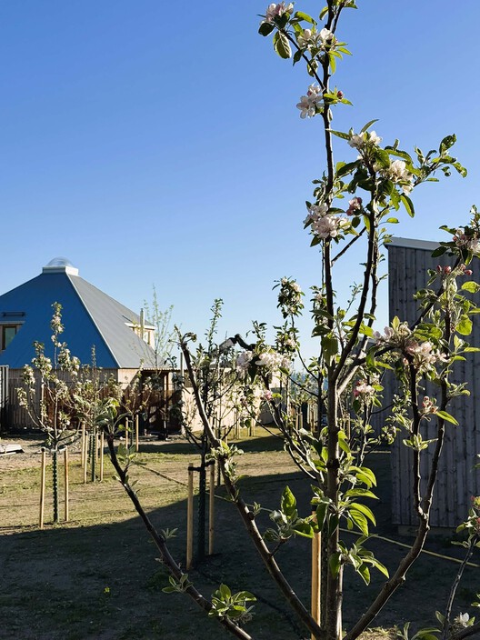 Casa Kivikhusen / STADSTUDIO - Fotografia de Exterior, Jardim