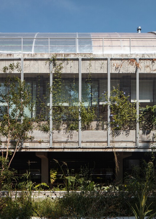 Casas locales/De - Figura 9 de 37