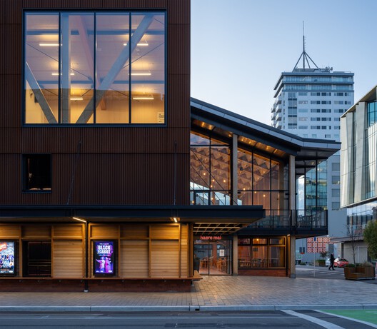 宫廷剧院 / Haworth Tompkins - 建筑图, 表皮