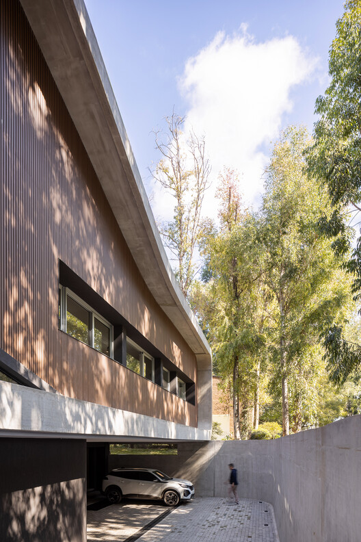 Fotografía de ballenas/arquitectos de ballena/pollac, concreto