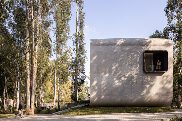 La Ballena / Brigati -Polak Arquitectos - Imagen 7 de 34