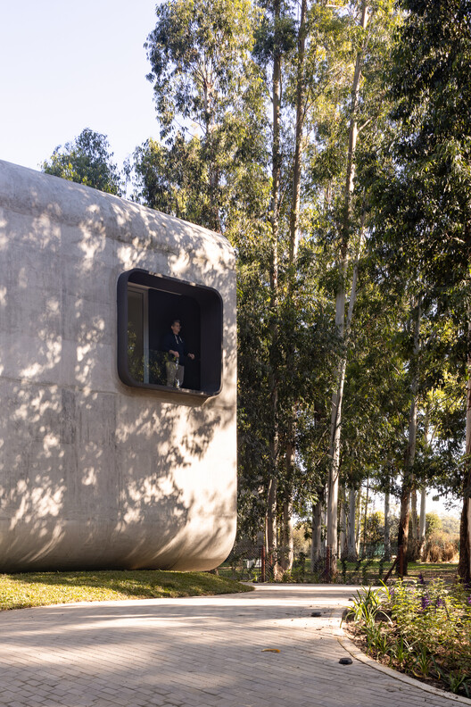 La Ballena / Brigati -Polak Arquitectos - Imagen 3 de 34