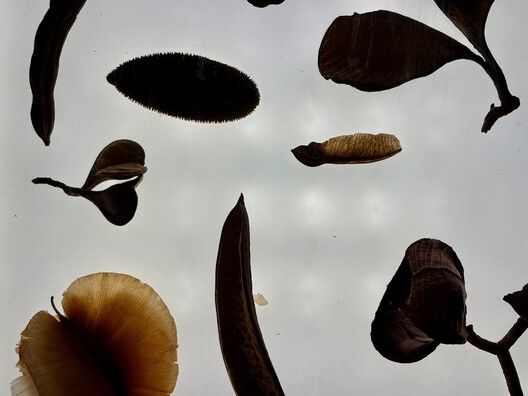 São Paulo Architecture Biennial Points to Possible Futures for a Planet in Crisis - Image 16 of 25