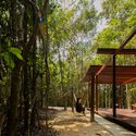 Senderos de Aldeia / NEBR Arquitetura - fotografía exterior, madera, bosque