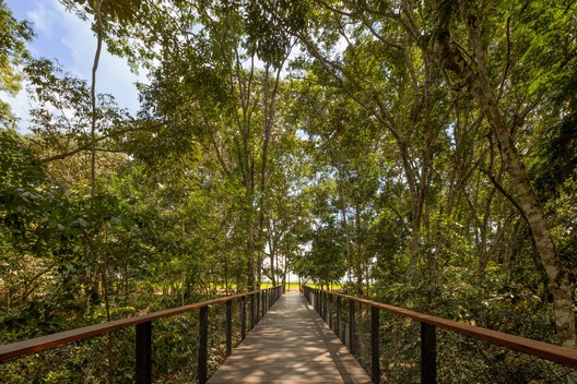 Senderos de Aldeia / NEBR Arquitetura - Fotografía exterior, Madera, Bosque