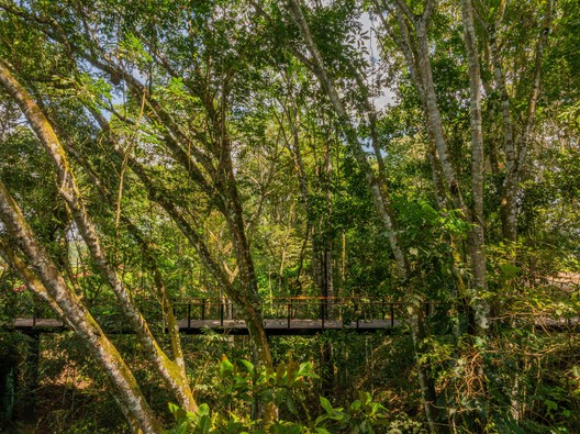 Senderos de Aldeia / NEBR Arquitetura - Fotografía exterior, Madera, Bosque
