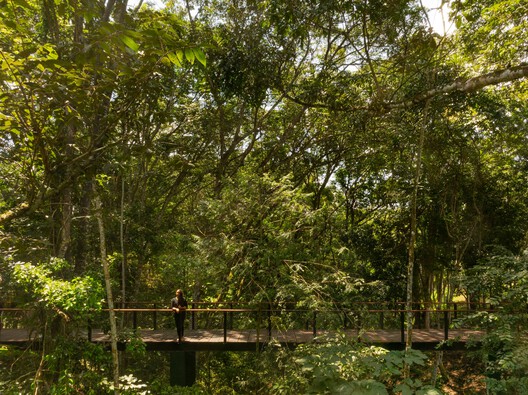 Senderos de Aldeia / NEBR Arquitetura - Fotografía exterior, Madera, Bosque