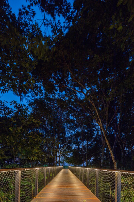 Senderos de Aldeia / NEBR Arquitetura - Fotografía exterior, Madera, Bosque