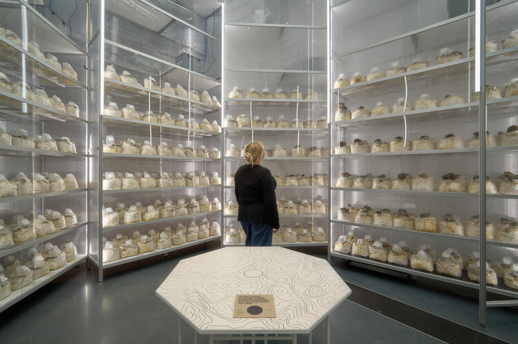 Age of Nature: New DAC Exhibition Explores the Future Relationship Between Architecture and Nature - Image 10 of 12