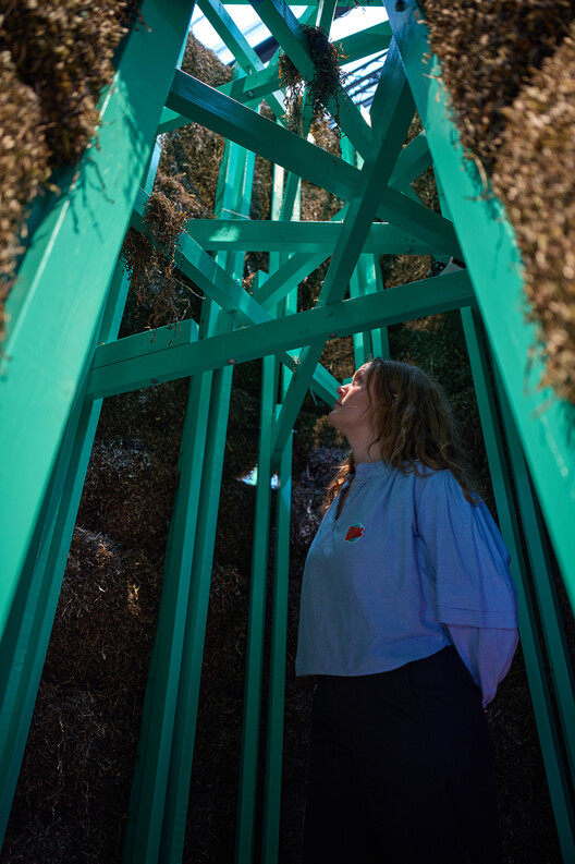 Age of Nature: New DAC Exhibition Explores the Future Relationship Between Architecture and Nature - Image 7 of 12