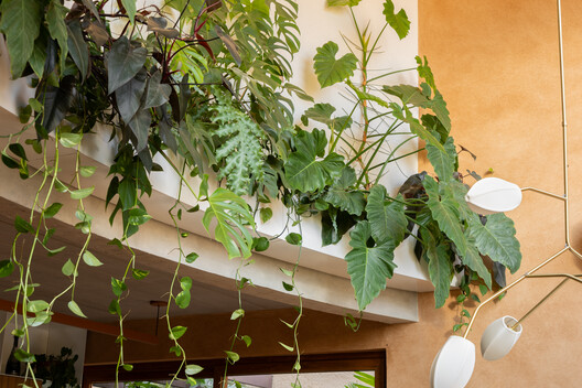 Casa Diógenes / DalArqui - Imagem 11 de 29