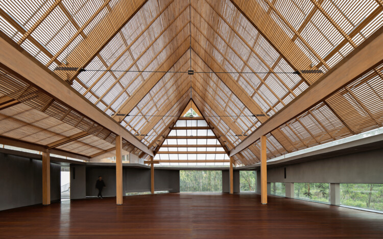 Imagen 3 de la imagen 19.