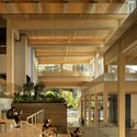 Centro de estudiantes Bloomberg / BIG + Rockwell Group + Michael Van Valkenburgh Associates: fotografía de interiores, madera, vidrio, sillas