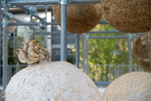 From Concrete to Cultivation: How AI and Robotics Are Rewriting Architecture’s Material Logic - Image 9 of 14