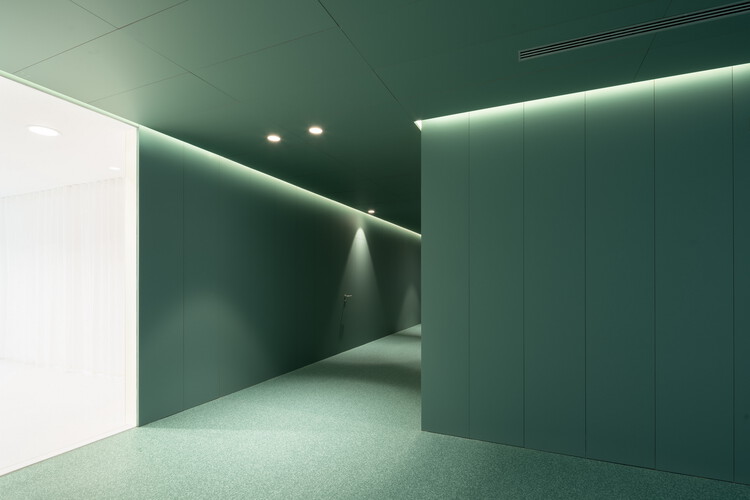 Servicio de Alergia del Hospital de Navarra / GVG Estudio + Vaillo-Irigaray y Asociados - Foto 6 de 11