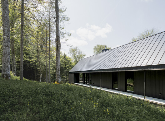 Lac Rougeaud Residence / DKA Lac Rougeaud Residence / DKA - Exterior Photography, Forest