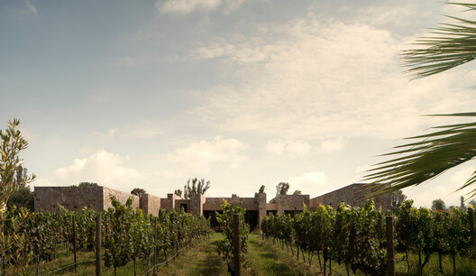 Casa San Francisco / Jorge Garibay Arquitectos - Imagem 24 de 24
