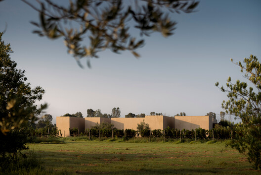 Casa San Francisco / Jorge Garibay Arquitectos - Imagem 6 de 24