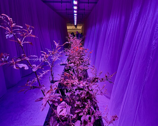 Lisbon Architecture Triennale 2025 Examines the Technosphere and Human Impact on Earth - Image 2 of 13