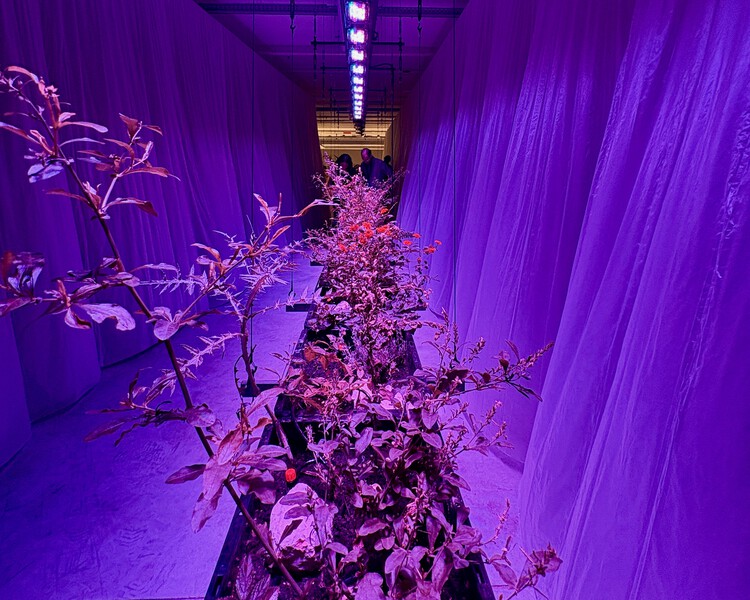 Trienal de Arquitetura de Lisboa 2025 analisa a tecnosfera e o impacto humano na Terra - Imagem 2 de 13