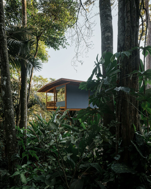 乡间宅邸 / Arquipélago Arquitetos - 建筑图, 森林