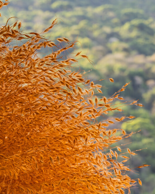 Instalação Esfera Local / L-ARA Arquitetura - Imagem 12 de 20