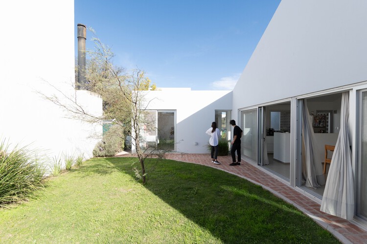 Casa en el árbol/almohadilla para perros: fotografía exterior, hormigón, patio trasero