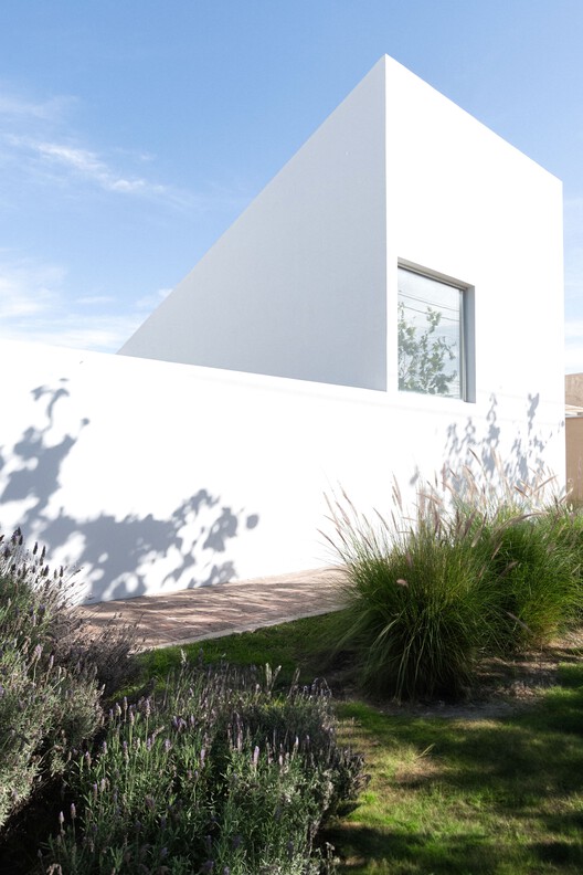 Casa en el árbol/almohadilla para perros – Fotografía exterior