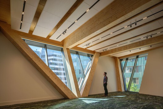 哈佛大学大卫·鲁宾斯坦树屋/ Studio Gang - 室内图, 木头, 玻璃