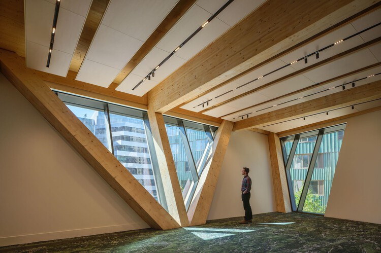 哈佛大学大卫·鲁宾斯坦树屋/ Studio Gang - 室内图, 木头, 玻璃