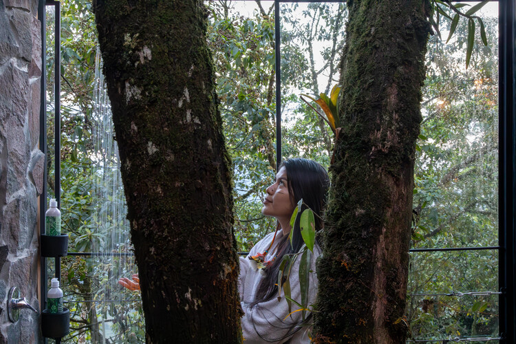 Alojamiento en El Pigüe / Mestizo Estudio Arquitectura - Fotografía exterior, bosque