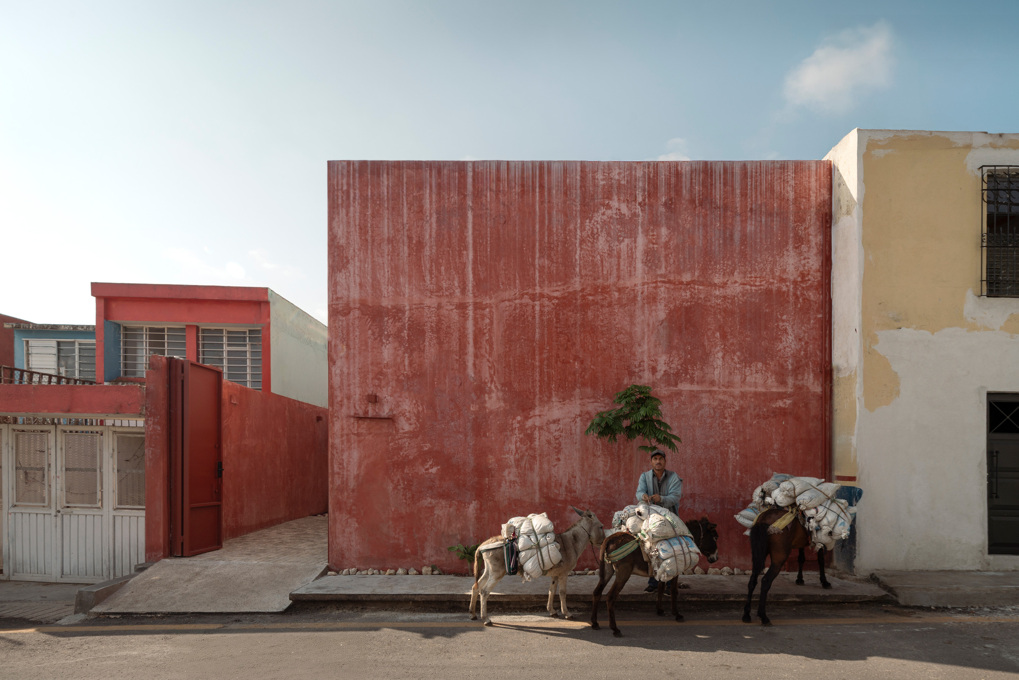 Alicia House / ALTOVA