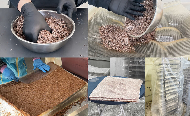 Pabellón de la Casa Micelio/Arquitectura Yong Ju Lee - Fotografía de interiores