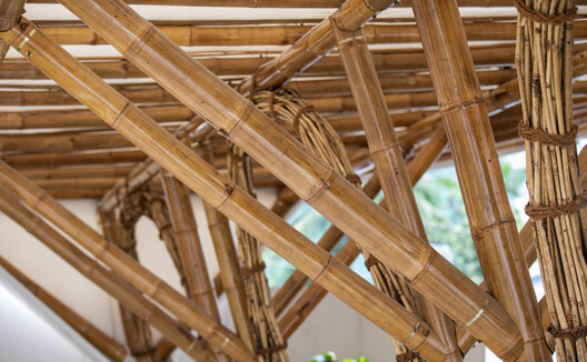 Canopy / Blue Temple - Image 4 of 19