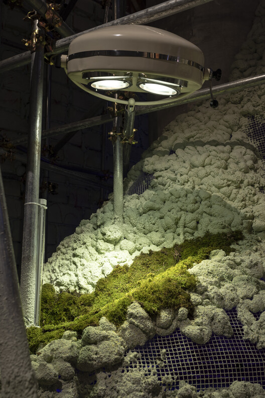 Small-Scale Solutions to Climate Challenges: 13 Highlighted Projects from the 19th Venice Architecture Biennale Small-Scale Solutions to Climate Challenges: 13 Highlighted Projects from the 19th Venice Architecture Biennale - Image 7 of 57