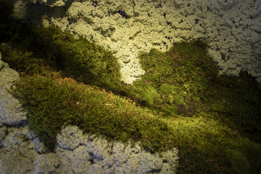 Small-Scale Solutions to Climate Challenges: 13 Highlighted Projects from the 19th Venice Architecture Biennale Small-Scale Solutions to Climate Challenges: 13 Highlighted Projects from the 19th Venice Architecture Biennale - Image 8 of 57