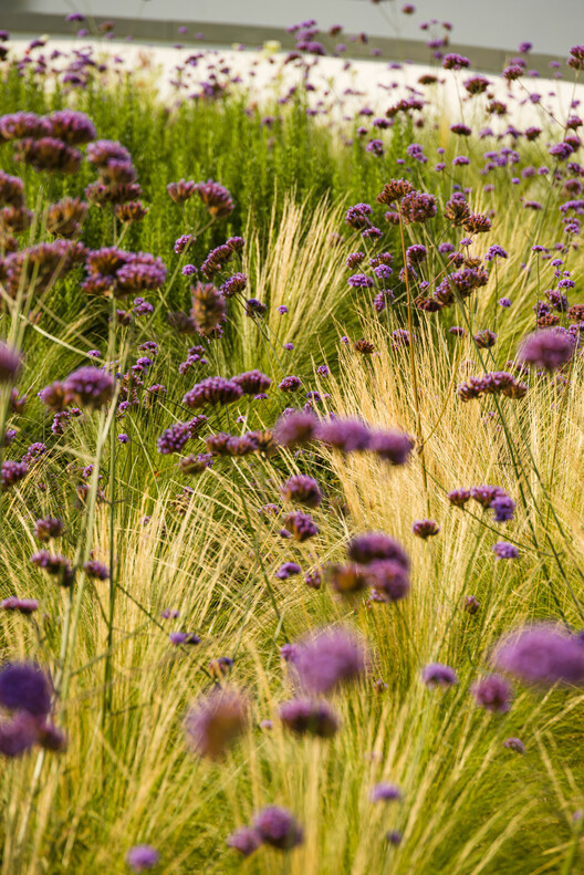 Campus Verde Oriente / LJ-Group Landscape Architecture + Saraiva + Associados + Kohn Pedersen Fox (KPF) - Imagen 15 de 24