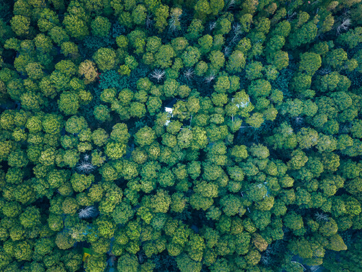 美悦达个个世界-秘境树屋营地 / 个个世界 + 先进建筑实验室 AaL 美悦达个个世界-秘境树屋营地 / 个个世界 + 先进建筑实验室 AaL - 7 的图像 51