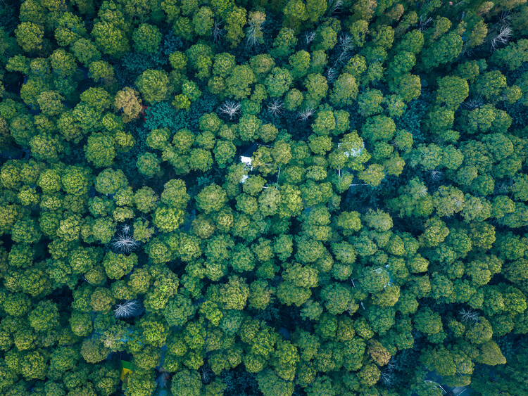 Merryda Wiki World-Secret Camp / Wiki World + Advanced Architecture Lab - Image 7 of 51