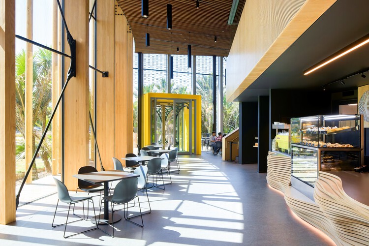 Centro de visitantes de Punangairi / Sheppard & Rout Architects: fotografía de interiores, restaurante, madera, sillas, vidrio